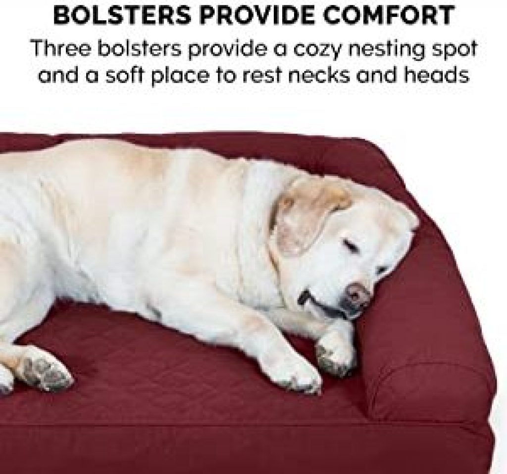 The Insider's Guide to Best Cheap Dog Beds 2021 Affordable Prices