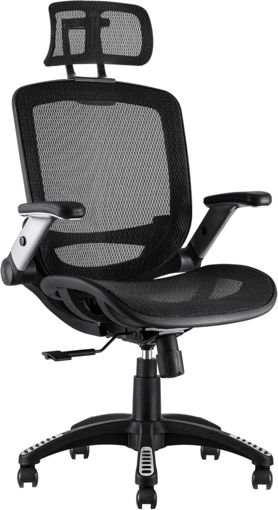 Gabrylly Ergonomic Office Chair