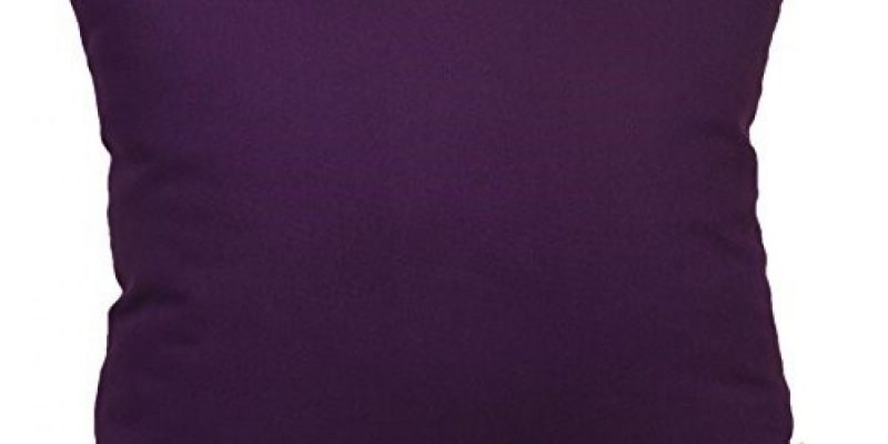 Top Five Purple Throw Pillows Cover Review 2021